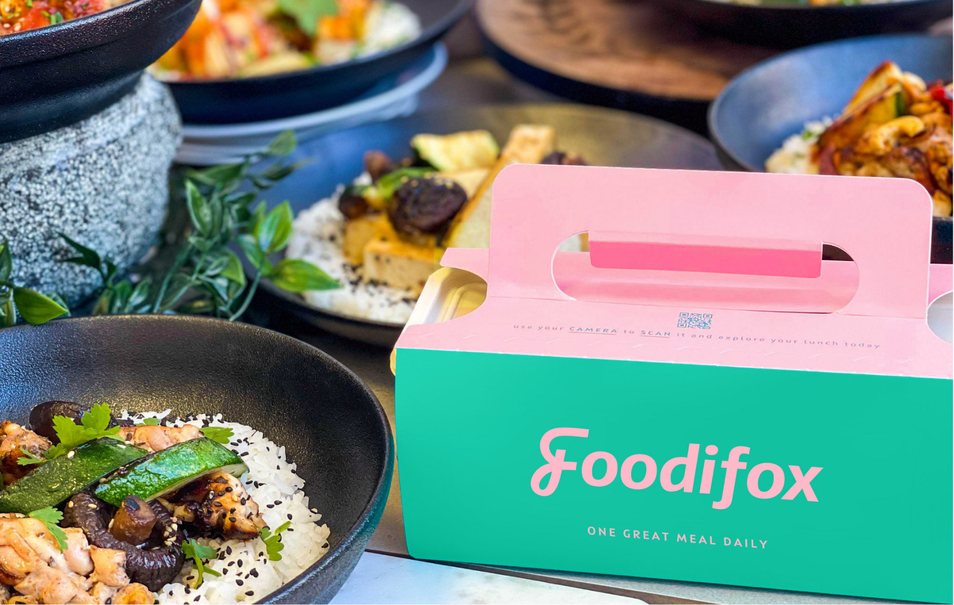 Foodifox — asset 1.1